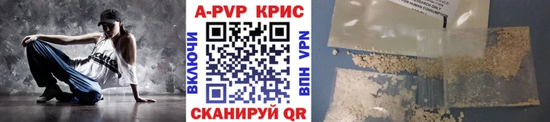 A PVP СК  Кашин 